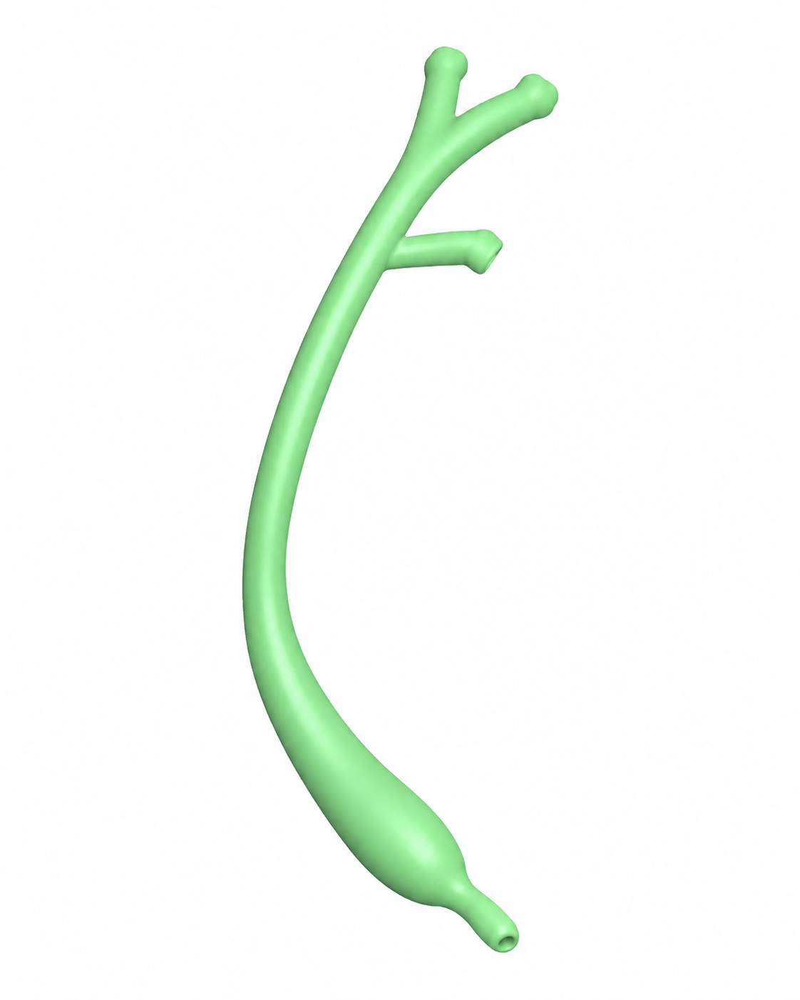 Ampulla CBD model source image